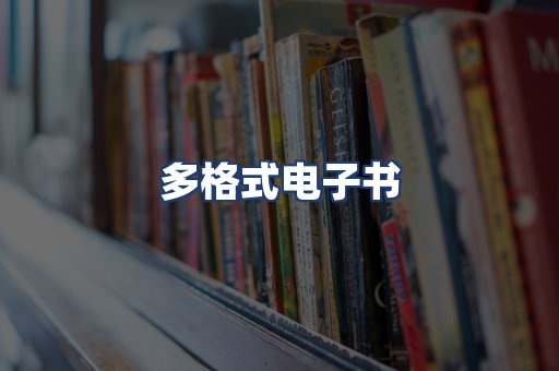 多格式电子书